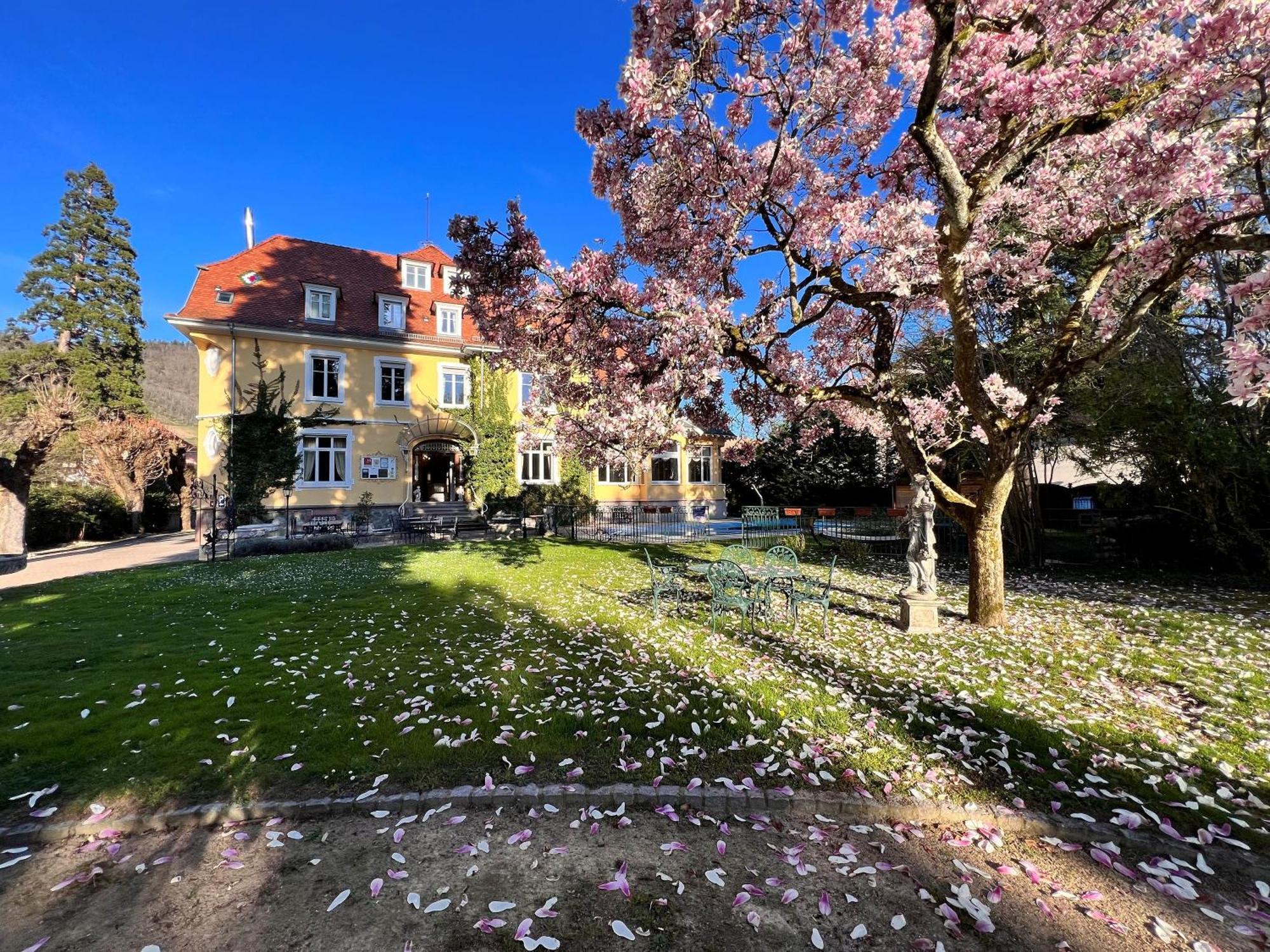 Hotel Restaurant Du Parc Танн Екстер'єр фото